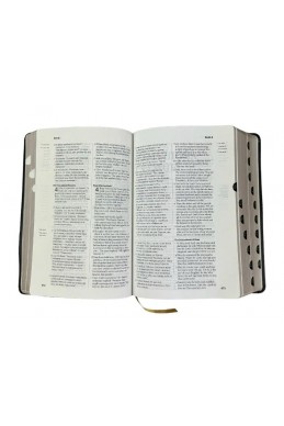 Англійсько-Українська Біблія / Ukrainian-English Bible parallel text NLT/Ogienka